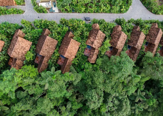 DJI_0690