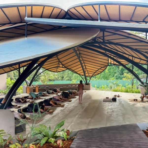 lotus-pavilion-yoga-shala-moon-gate-wellness-sanctuary.jpg